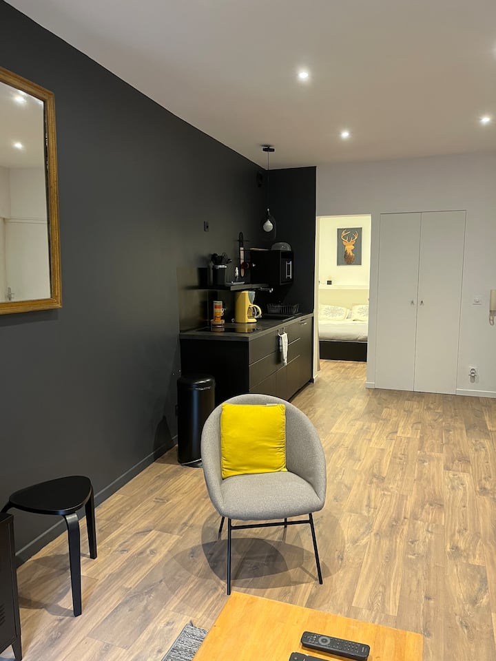 Grand Studio Au Centre Du Village - Villard-de-Lans