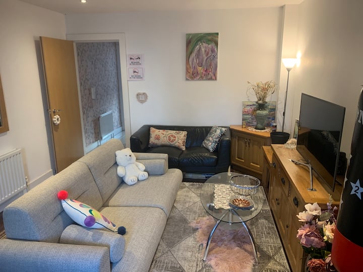 Train Rail Terraced Double Bed - Belfast