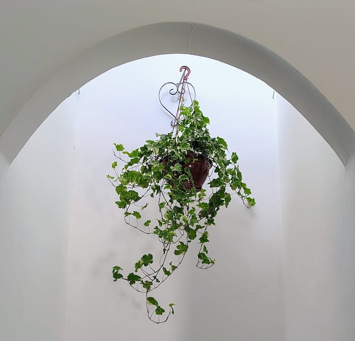 Apartamento Dos Arcos - Teresópolis