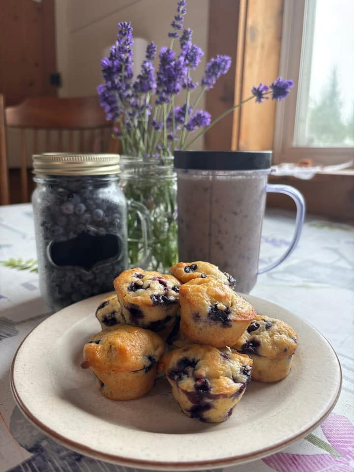Wild Blueberry Hill Farm Stay (Free Breakfast) - Farm stays for