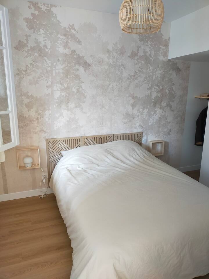 Habitación 1
