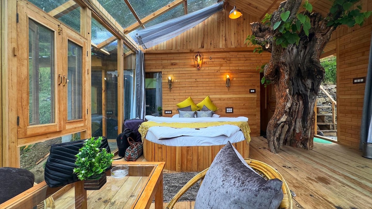 The unique interior showcases a wooden structure complemented by large glass panels, allowing natural light to fill the space. A circular bed is adorned with bright cushions, while a natural tree trunk serves as a striking feature. A cozy seating area includes a coffee table and plants.