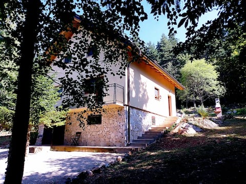 house sid forest
