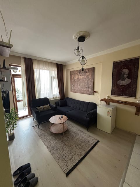 Apartment with Wi-Fi in Konya, Central Location, Mythological Concept