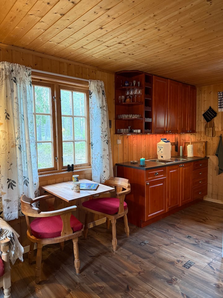 ÅSnes Finnskog, Solcelle, Kano - Norwegen