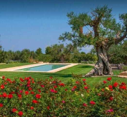 Casina Rossi villa con piscina gallery image 3