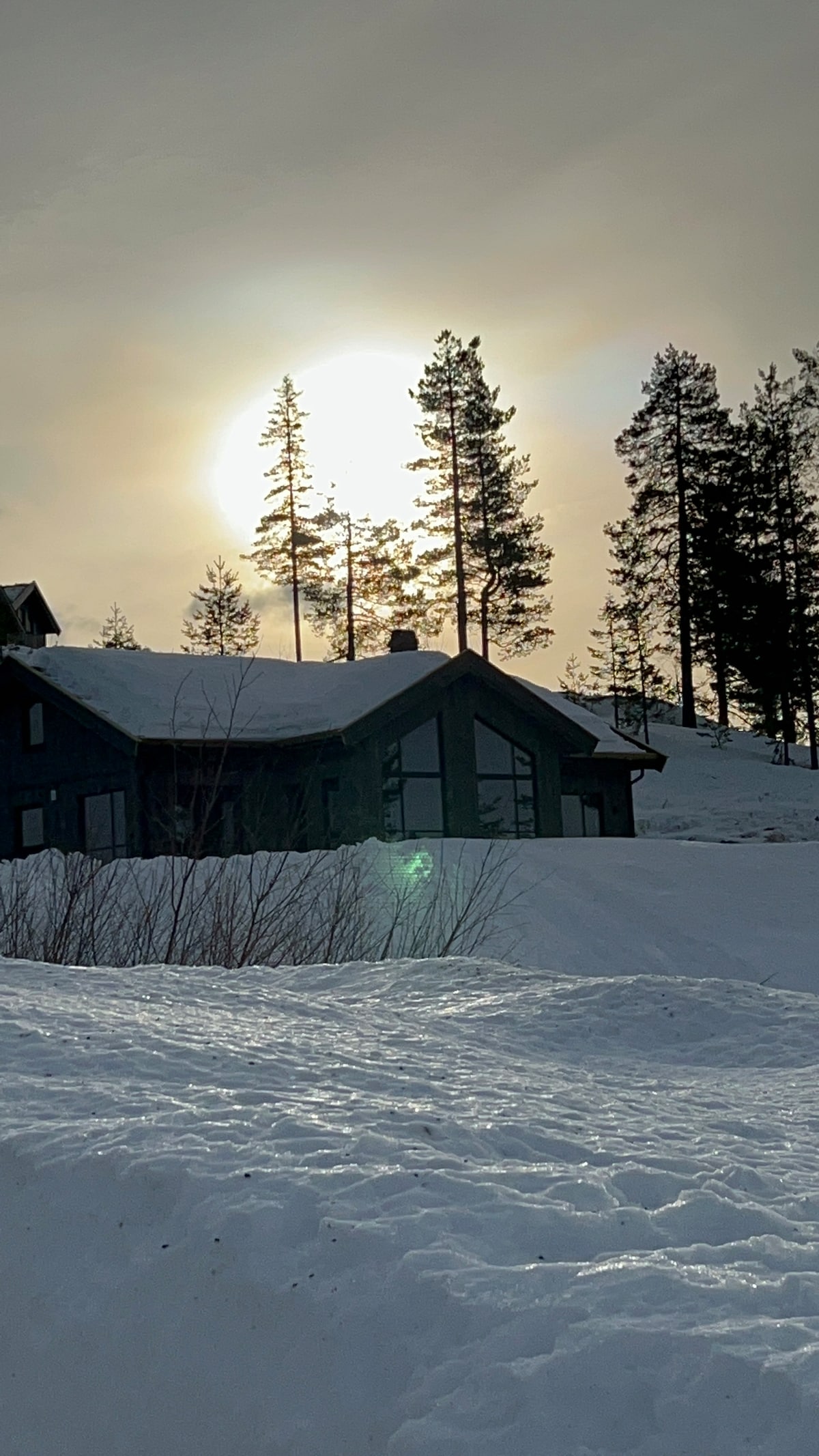 A modern mountain cabin sits amid a snowy landscape, backlit by a low sun, casting a serene glow. Tall evergreen trees frame the structure, and a gentle slope of snow leads to the cabin's entrance, suggesting a tranquil winter atmosphere.