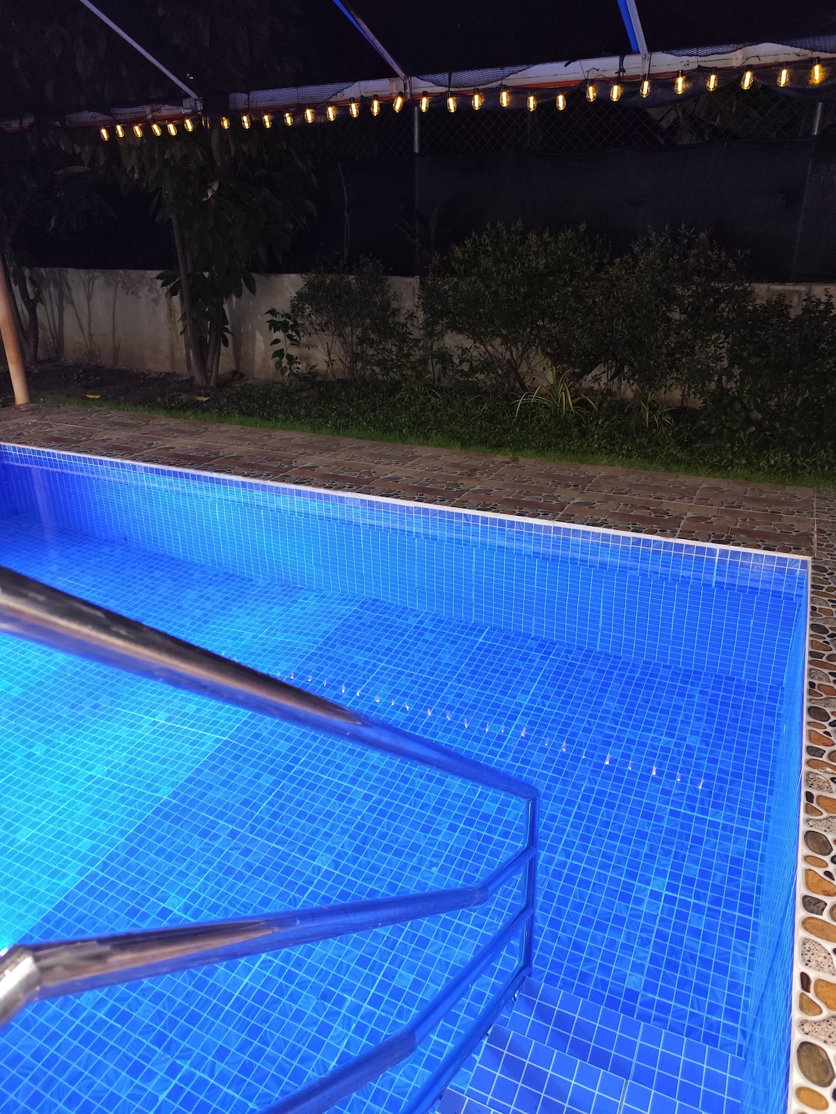 A mini swimming pool is showcased, featuring clear blue water that reflects surrounding lights. Steps lead into the pool, with stone tiles surrounding the area. Lush greenery is visible beyond the pool, providing a natural backdrop.