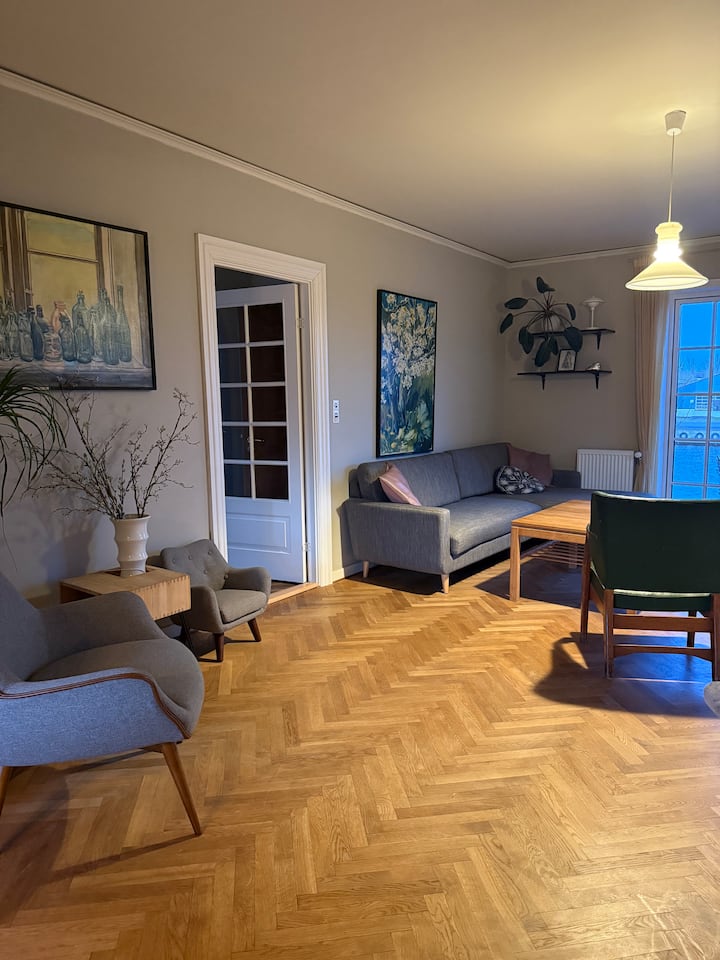 Attraktiv Hus I Odense C. - オーゼンセ