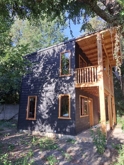 Cabin in Pucón 2