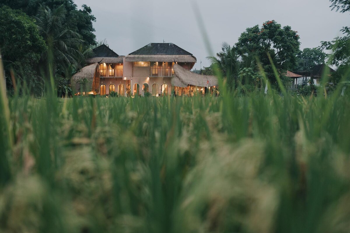 The boutique hotel is set against a backdrop of lush greenery, viewed from the rice fields. Its two-story structure features a thatched roof, large glass doors, and warm lighting that creates a welcoming ambience in the evening.