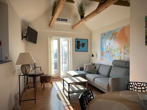 Apartment with rooftop