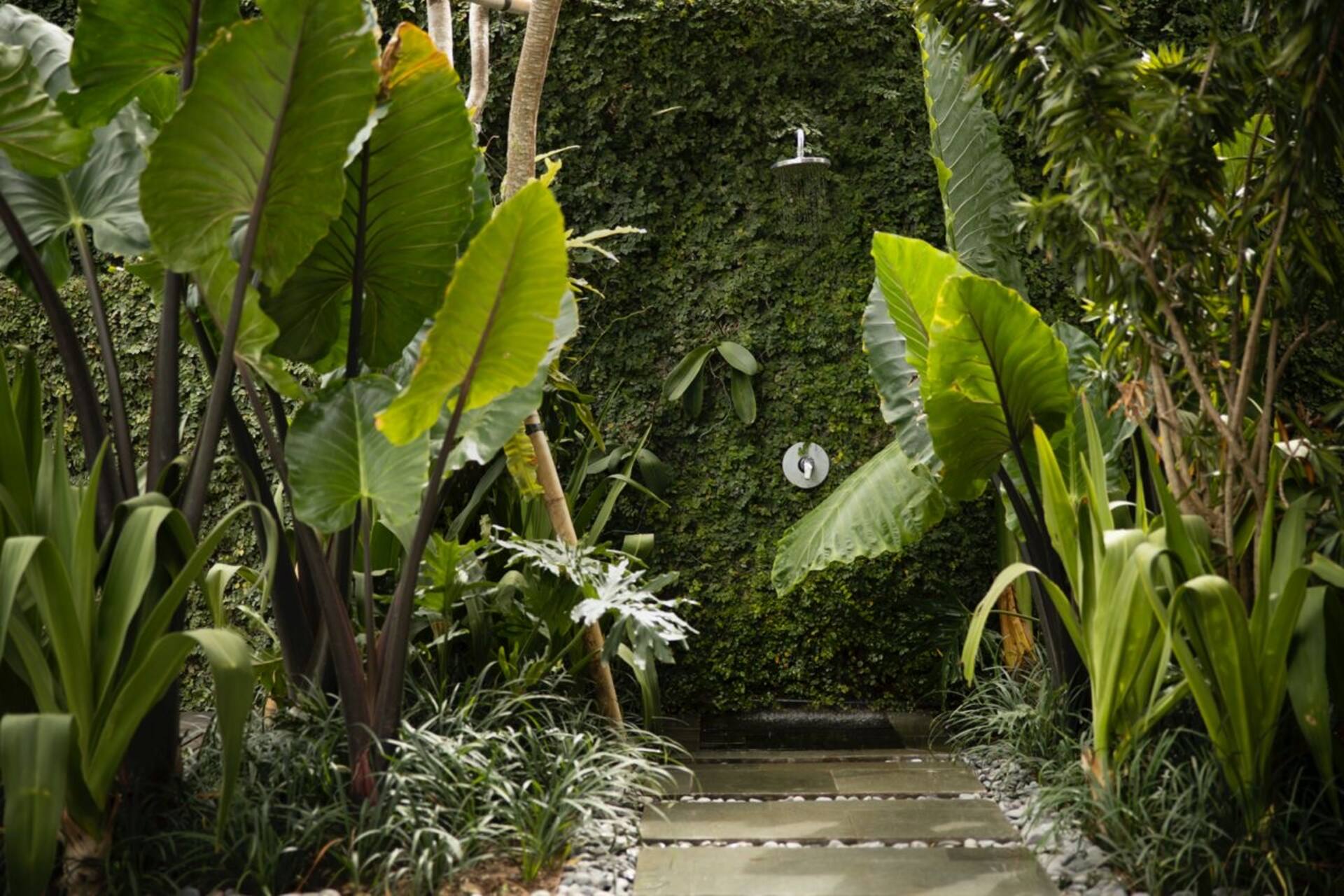 Luxe Surf Retreat 3 Bedroom Private Villa in Canggu