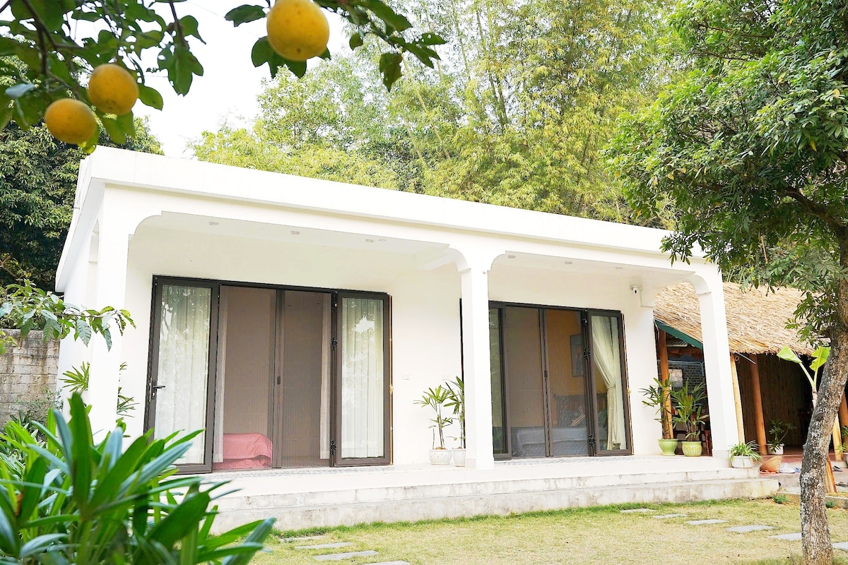 A modern single-story retreat is set amidst greenery, featuring two sets of glass sliding doors that open to a grassy area. Potted plants enhance the outdoor space, while citrus trees provide a touch of nature. The building showcases a clean, white exterior.