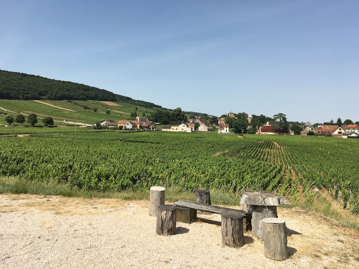 Studio Cosy Au Cœur Des Vignes + Parking - Gevrey-Chambertin