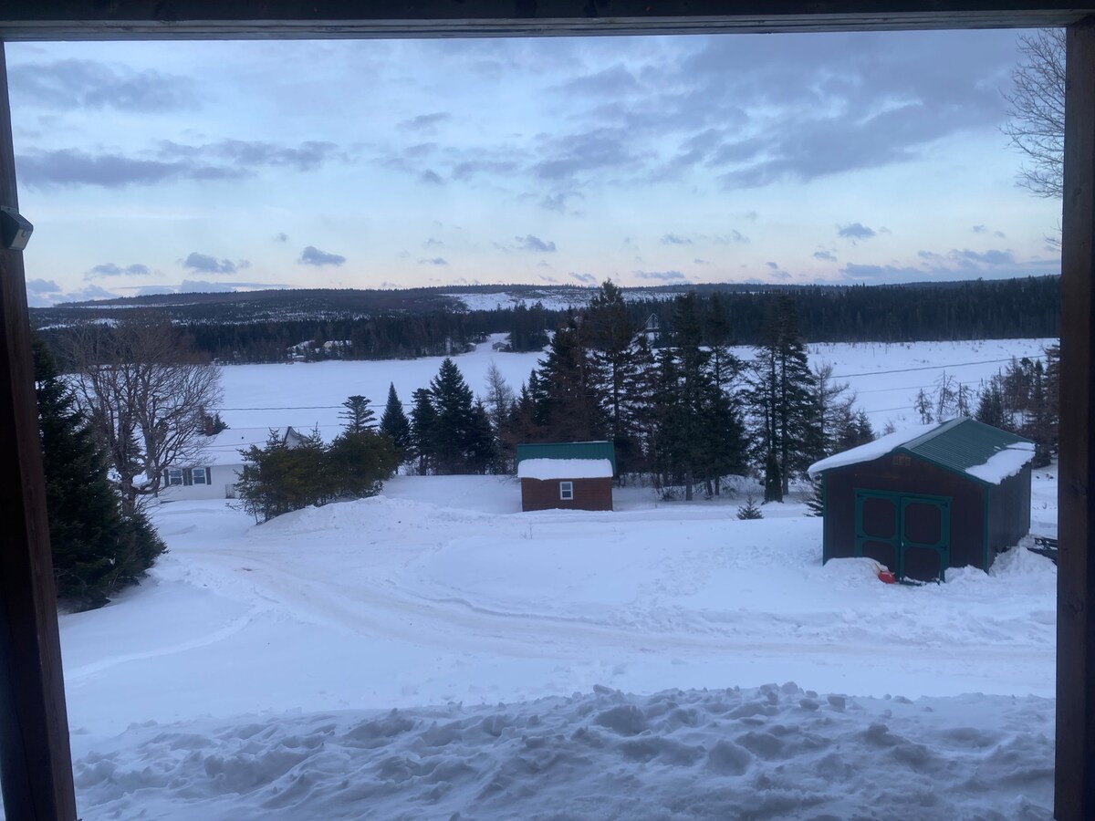 A serene winter landscape is visible, featuring a blanket of snow covering the ground. A small red shed and a green-roofed cabin are nestled among the trees, while Mechanic Lake stretches out in the distance, framed by a cloudy sky.
