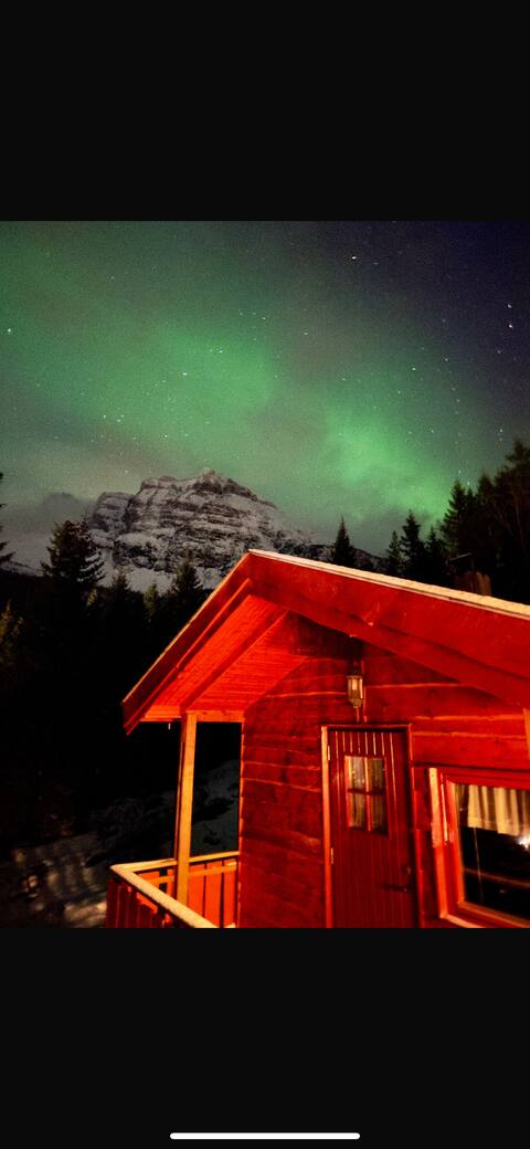 Maxi’s Cabin with Sauna and Jacuzzi