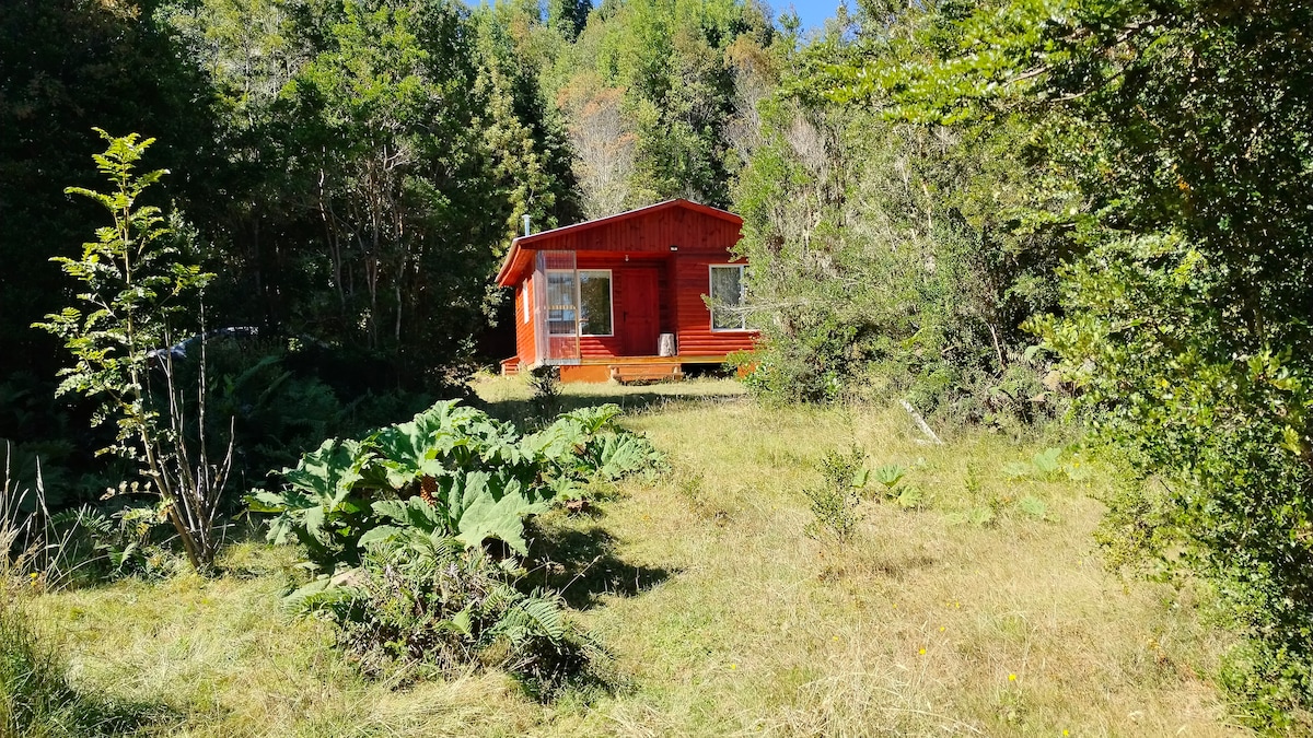 A vibrant red cabin is nestled among trees and lush greenery. Tall grasses and various plants surround the cabin, which features large windows on either side. Sunlight filters through the foliage, creating a tranquil outdoor setting.