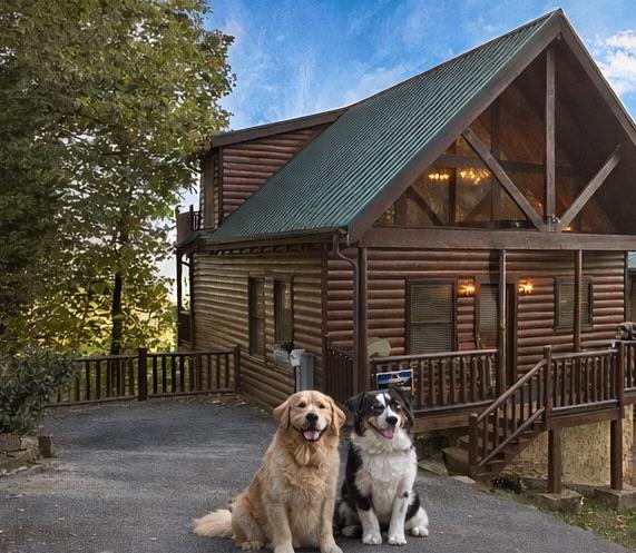 Dog-loving cabin! Theater room | Gorgeous views