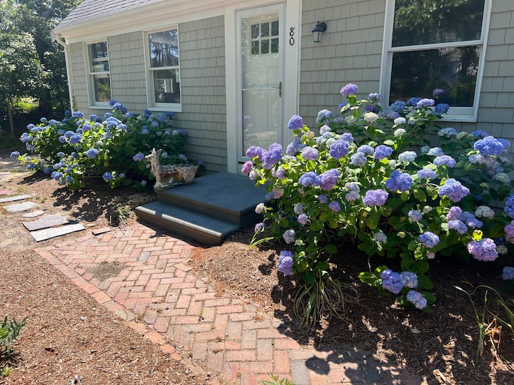Solace~dog Ok/ Adj. Beds/game Room/soaking Tub - Eastham, MA