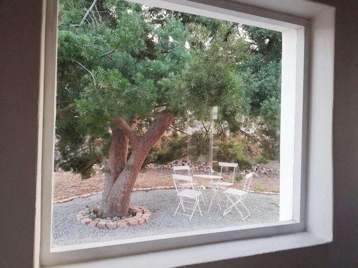 卧室可欣赏花园美景 