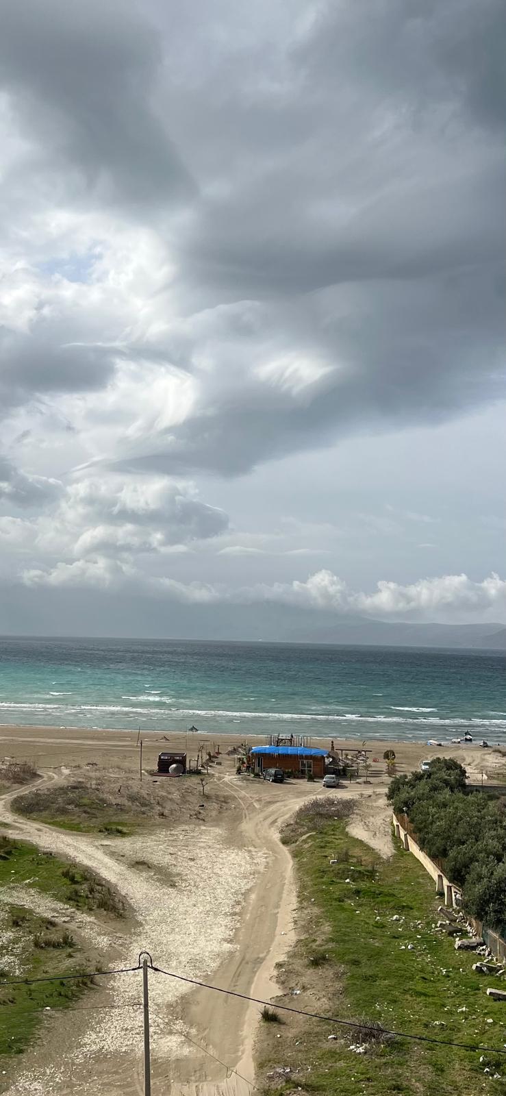 Listing 1364488374573892638