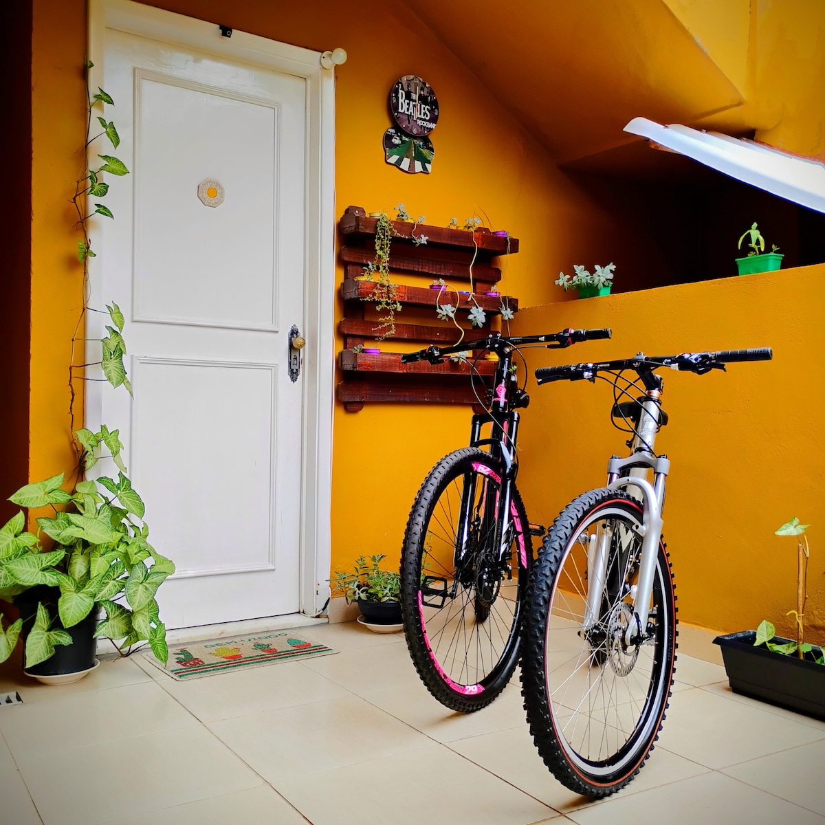 Two bicycles are parked beside a white door in front of a vibrant orange wall. Potted plants are arranged on shelves and the ground, enhancing the green tones. A welcome mat is positioned at the door, adding a homey touch to the entrance.