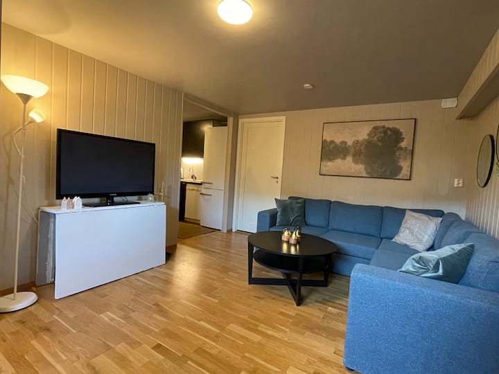 Cozy And Charming Basement Apartment In Sola - Stavanger