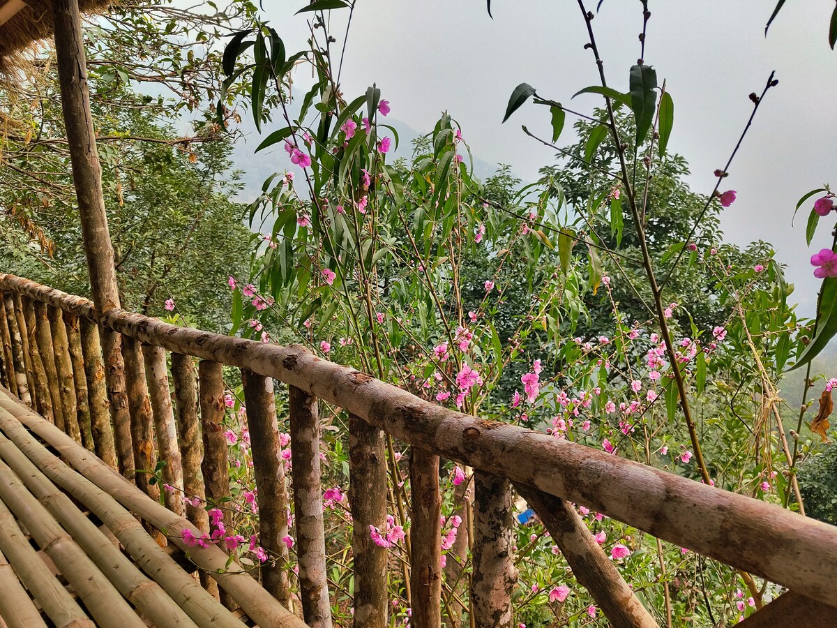 A wooden balcony railing is adorned with vibrant pink flowers, creating a natural border. Lush greenery is visible in the background, framed by the balcony's rustic design. The scene offers a serene view of the surrounding jungle landscape.