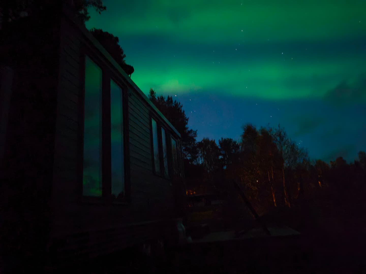 Tiny Home Under The Pine Trees ~ Near Nature,sauna 4