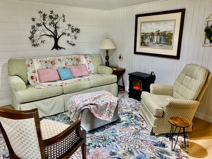 Surprisingly Sunny & Spacious Vintage Apt King Bed - Iowa
