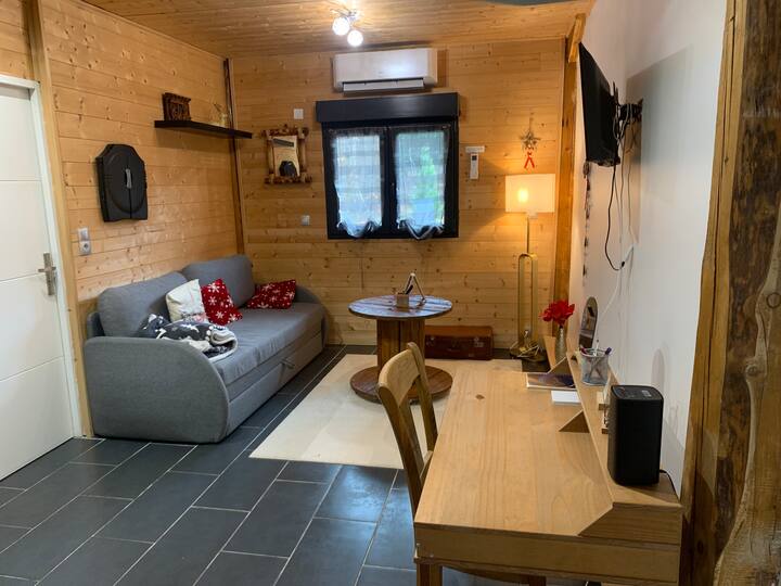 Le Chalet Des Buch Avec Spa -Terrasse Parking Wifi - Vogesen