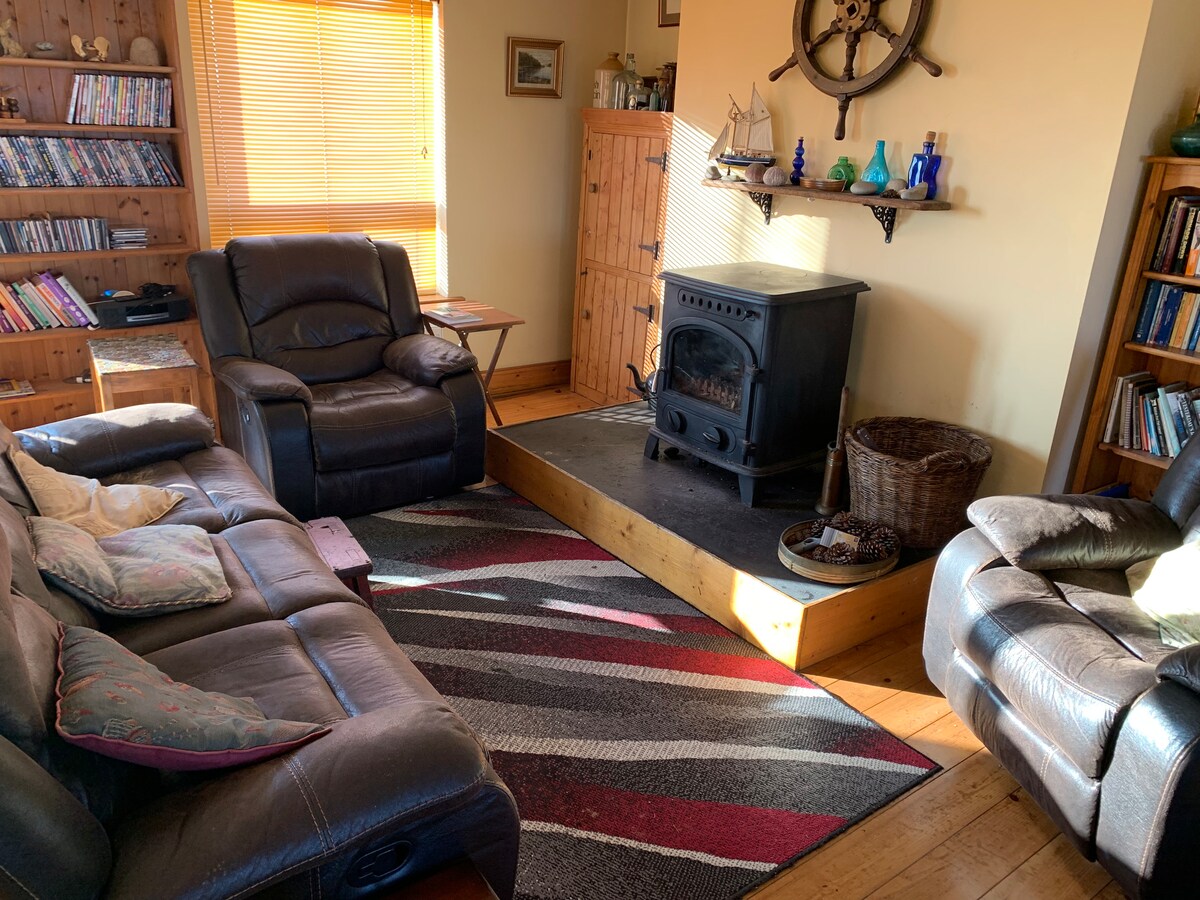 The living area features comfortable leather seating arranged around a low wooden platform containing a coal/log burning stove. A vibrant area rug adds colour, while warm light filters through the adjacent window. A wooden shelf displays decorative items and a collection of DVDs is visible nearby.