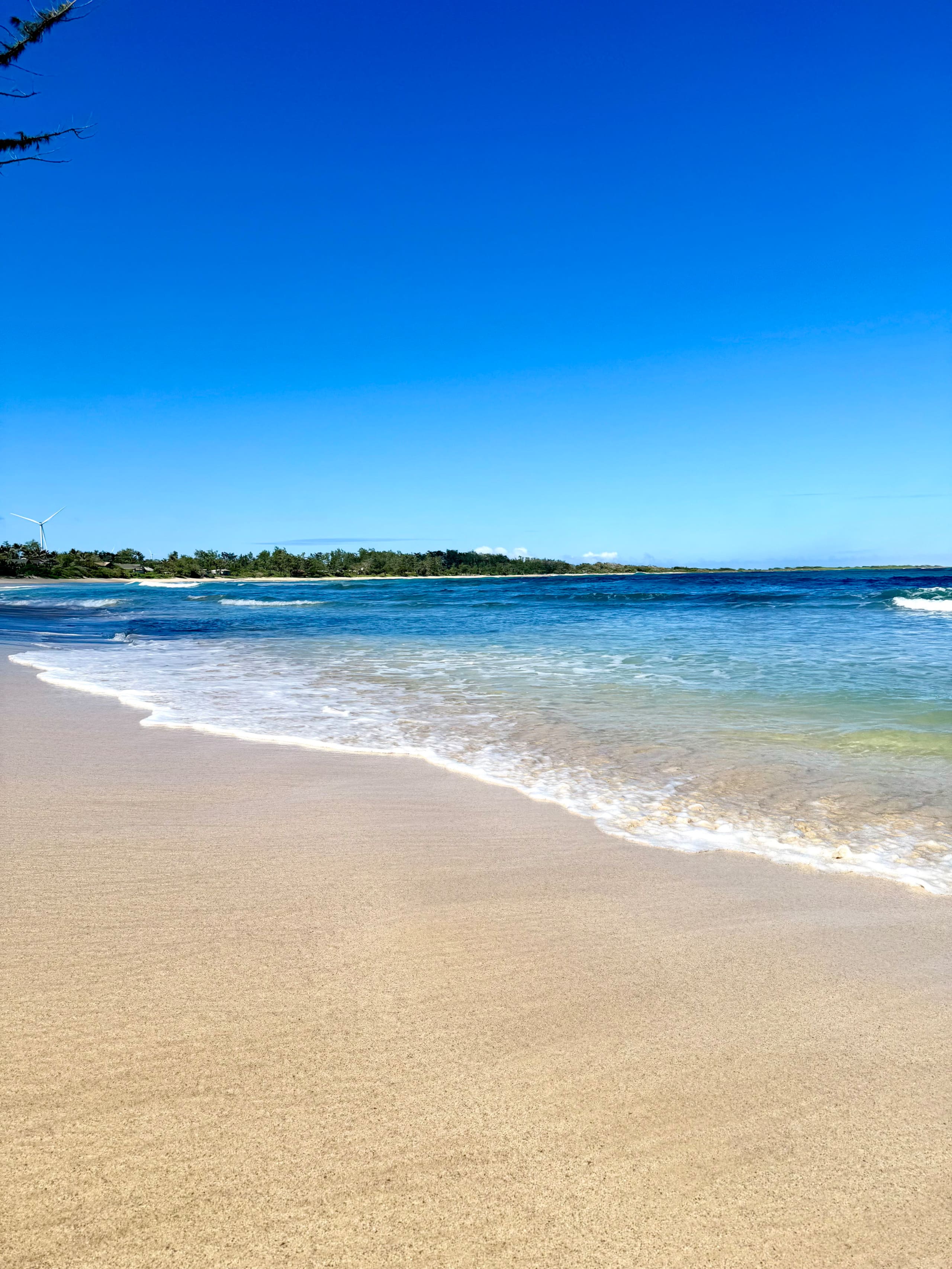 Home in Kahuku · ★5.0 · 3 bedrooms · 5 beds · 3 private baths - Image 31