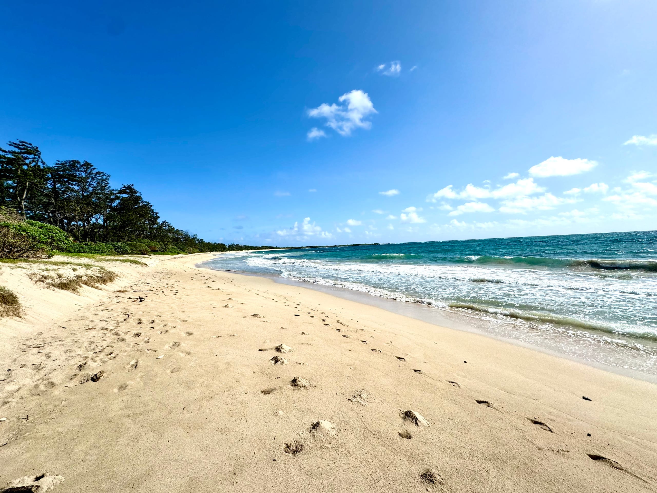 Home in Kahuku · ★5.0 · 3 bedrooms · 5 beds · 3 private baths - Image 26