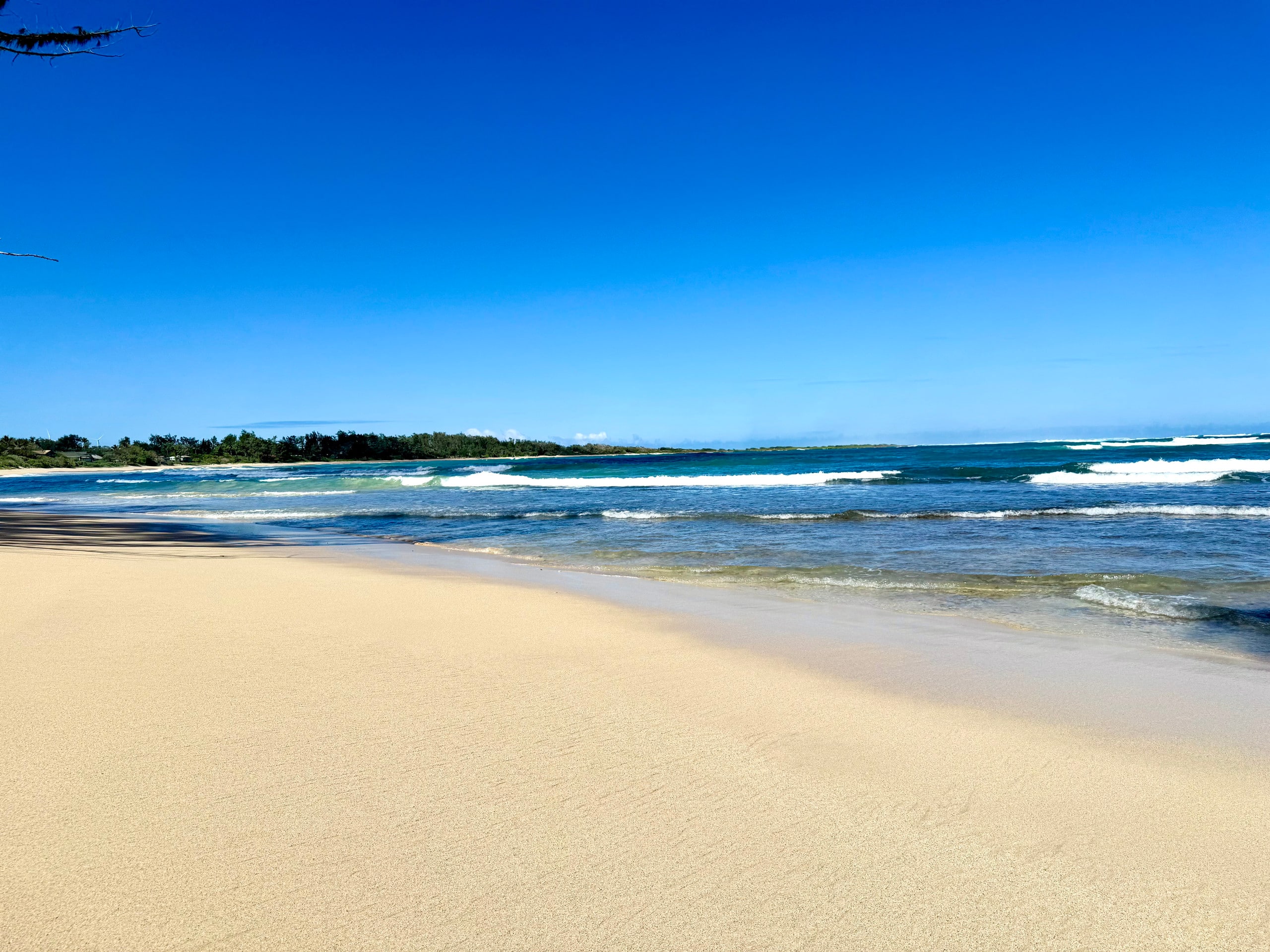 Home in Kahuku · ★5.0 · 3 bedrooms · 5 beds · 3 private baths - Image 32