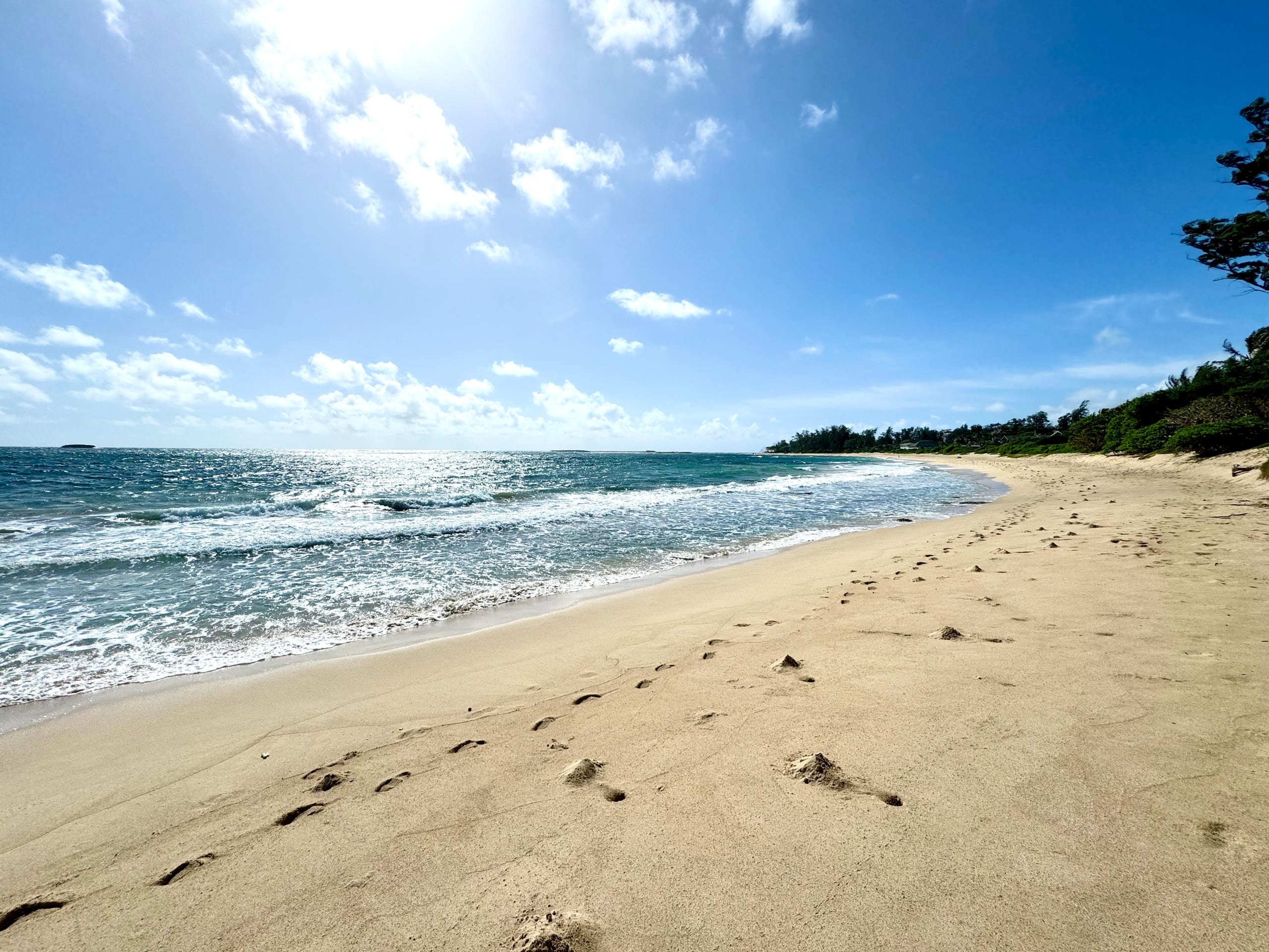 Home in Kahuku · ★5.0 · 3 bedrooms · 5 beds · 3 private baths - Image 29