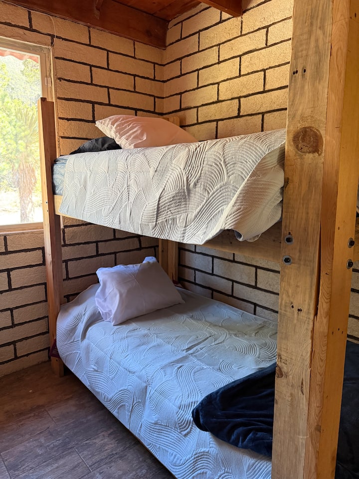 Habitación 1