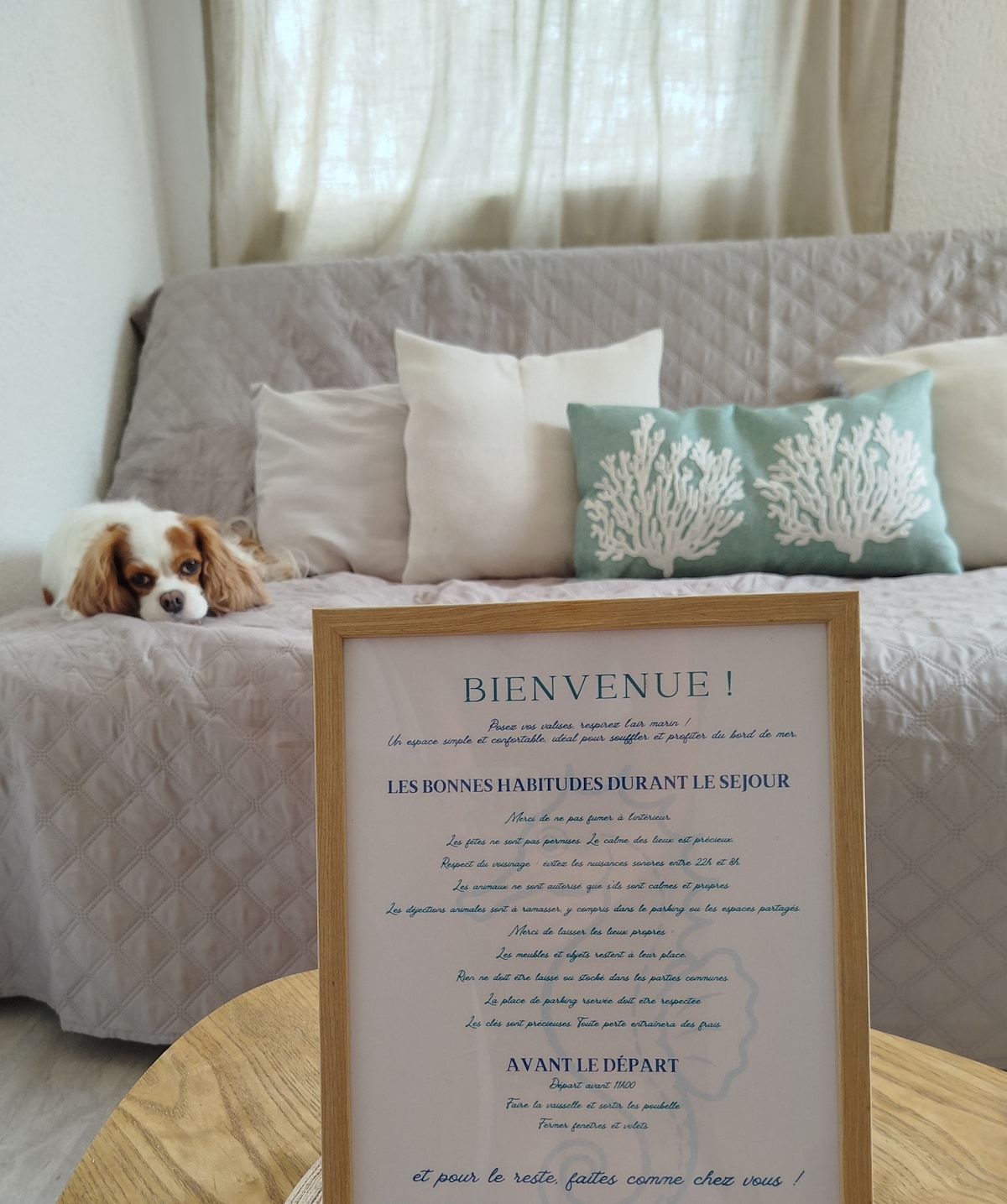 Uvítacia brožúra a malé pozornosti na začiatok vášho pobytu v našom útulnom 15 m² štúdiu, ideálnom na dovolenku pri mori alebo na vianočný trh.