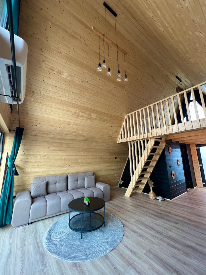 Saltwood A-frame - Free Parking, Lângă Turda - Turda