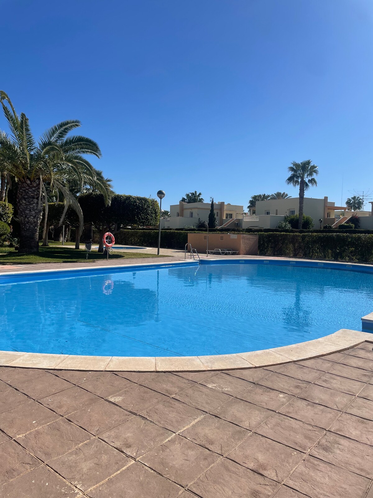 A sparkling swimming pool is surrounded by well-maintained gardens and palm trees, providing a serene outdoor space. Sunlight reflects off the clear water, enhancing the inviting atmosphere. A poolside area features lounge chairs and a safety buoy is visible nearby for added security.