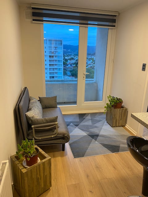Top performing Airbnb: Acacio Apartment 1D 1B (receipt/invoice) in Región Del Biobío