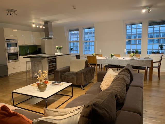 Holborn Penthouse With Private Roof Terrace gallery image 3