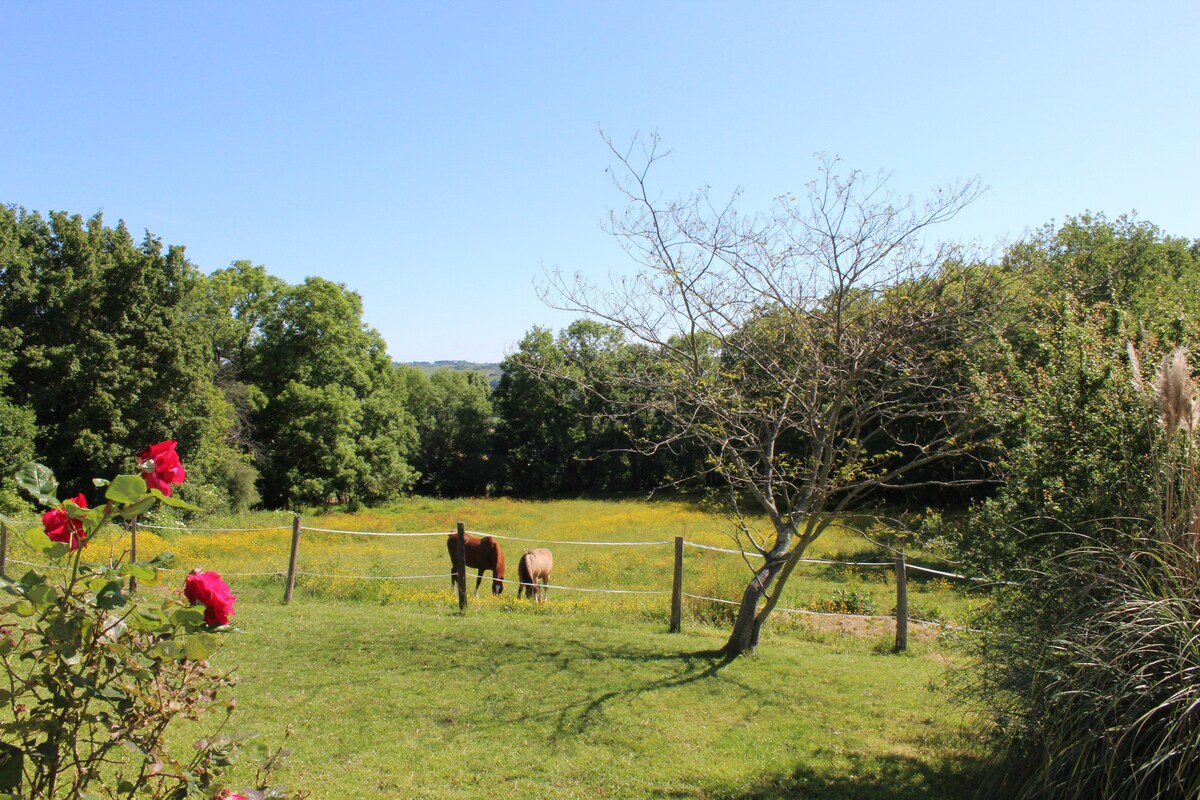 A serene garden scene is displayed with vibrant roses in the foreground. In the background, two horses graze peacefully on a lush green pasture, bordered by a wooden fence. A clear blue sky and leafy trees complete the tranquil rural setting.