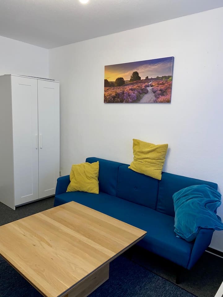 Ganze Wohnung In Saarbrücken City - Saarbrücken