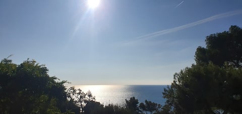 Propriété Airbnb réussie: Luxurious modern apartment near Monaco à Cap D'ail