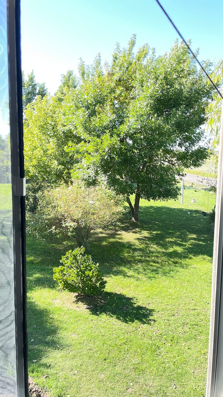 საძინებელი