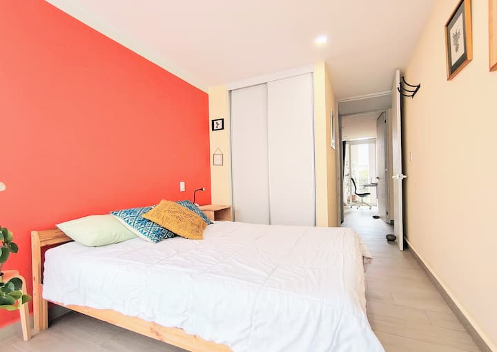 ¿Buscas un dormitorio moderno y acogedor? ✨ Descubre cómo los colores vibrantes y una decoración minimalista pueden transformar tu espacio. ¡Haz que cada rincón cuente! ️ 