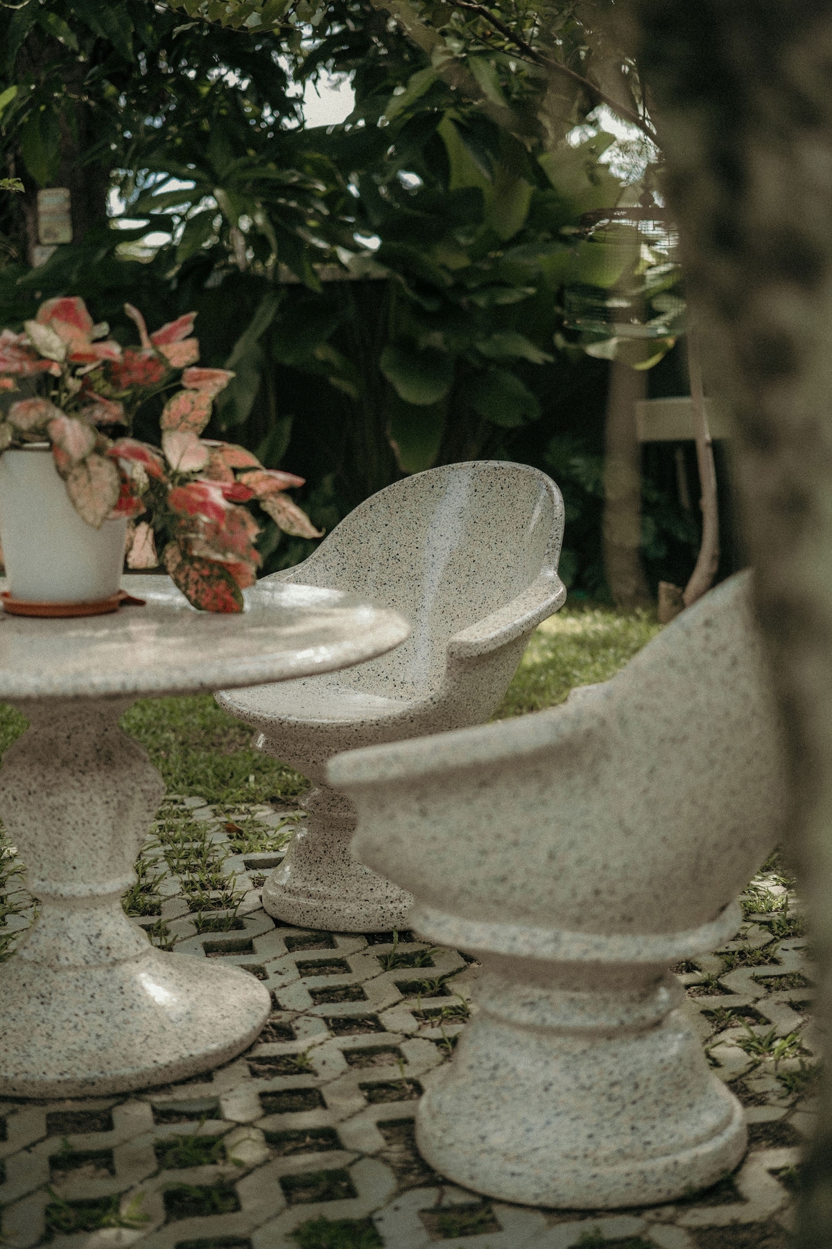 A small outdoor seating area features a round table alongside two uniquely shaped chairs. The table and chairs are made of textured stone, surrounded by lush greenery. A potted plant with colorful foliage sits on the table, adding a natural touch to the serene setting.