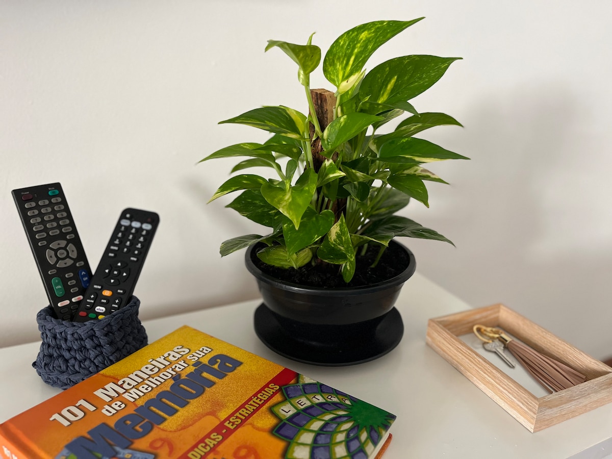 Successful Airbnb property: Flat 9th floor 15' Paulista ave. garage, gym, ac. in São Paulo